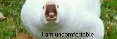 Devichuu's profile banner image