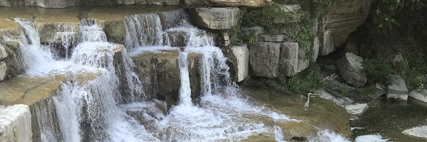 Amy Kuceyeski | @amykooz@bsky.social banner