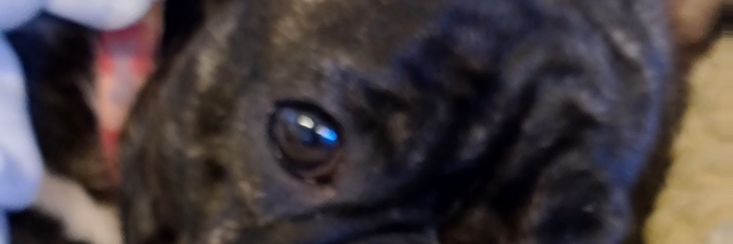 JasonConstable's profile banner image