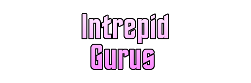 Intrepid Gurus banner