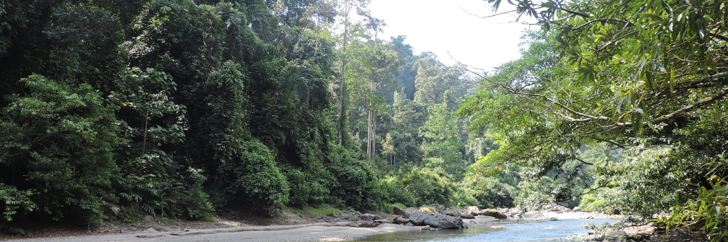 Rossiter Lab @ QMUL banner