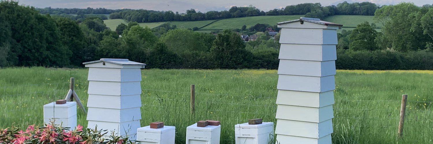 blackhambees's profile banner image