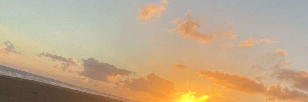 Sprouse17's profile banner image