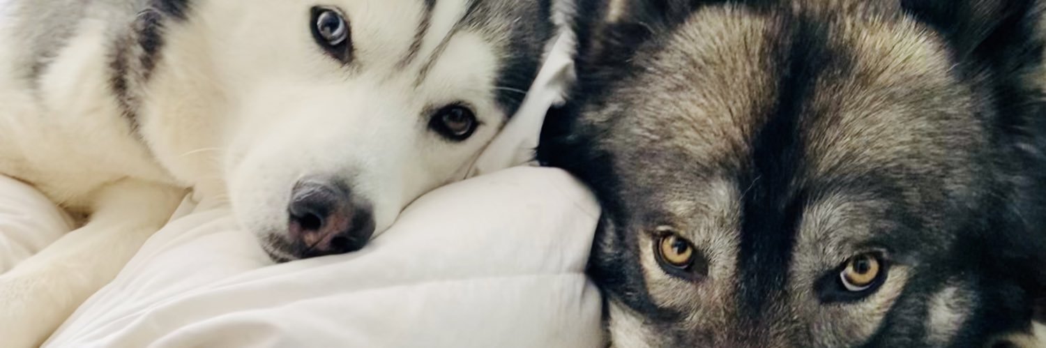 jaydenkris11's profile banner image