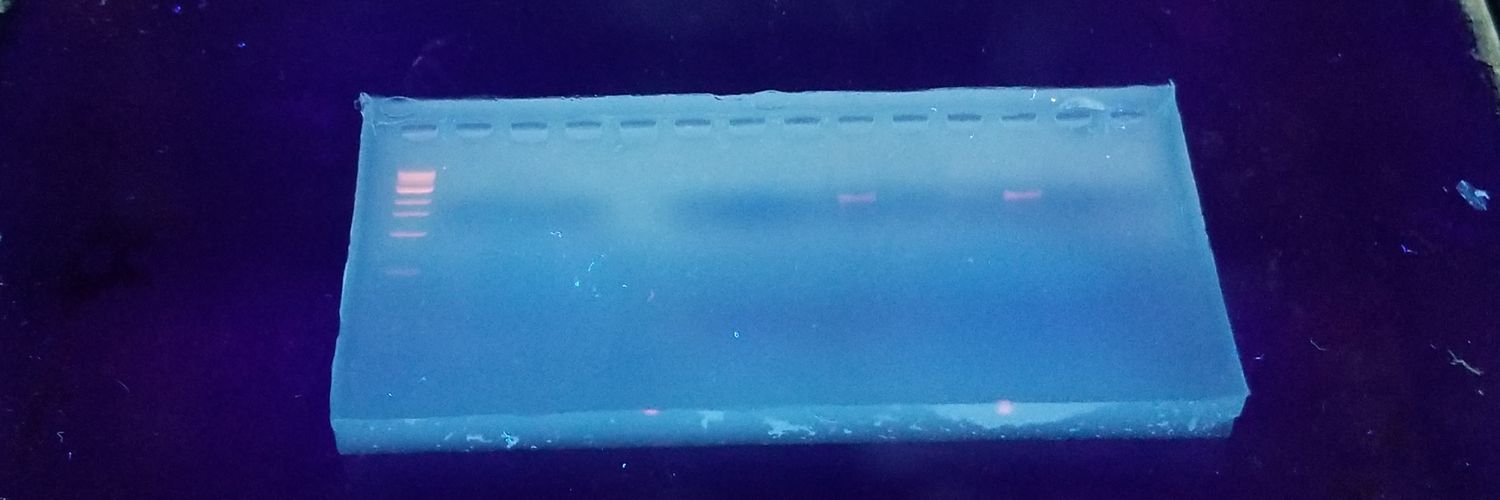 PrescottDeryl's profile banner image