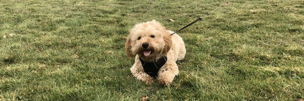 RachelVennard Profile Banner