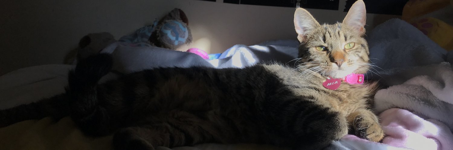 cattjjj's profile banner image