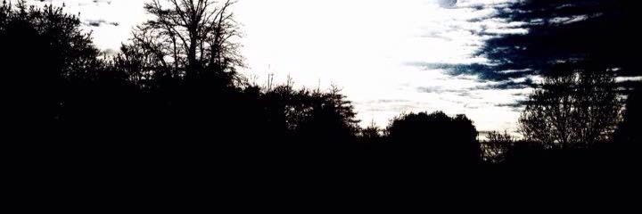 Callum Isolated banner