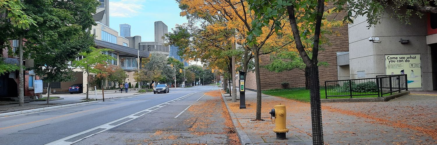 Pedram Mouseli banner