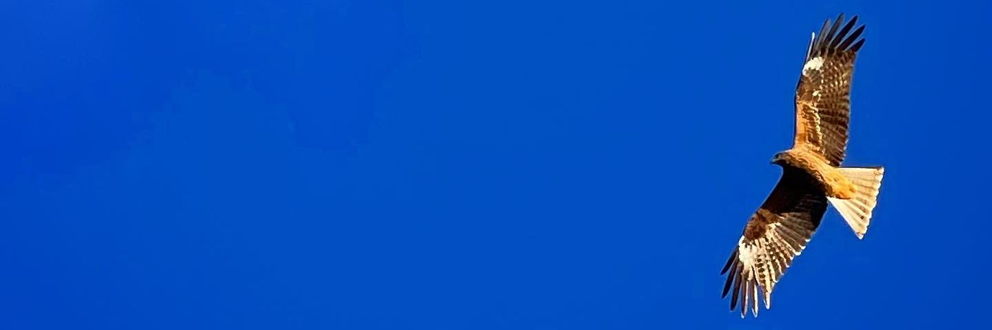 P7BT's profile banner image