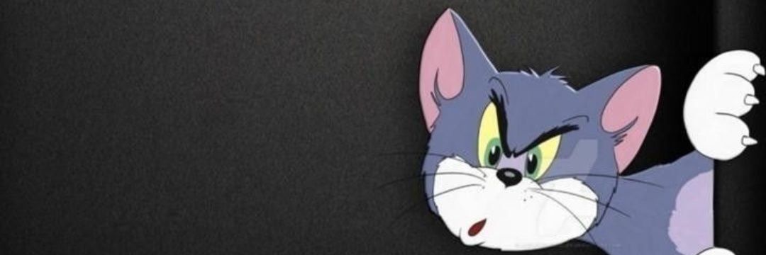 rmssk6's profile banner image