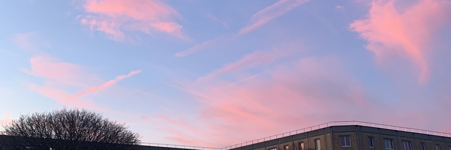 mareidz's profile banner image