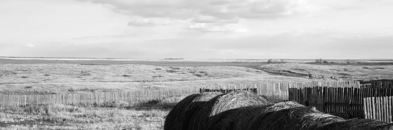 GeoffreyRoy's profile banner image