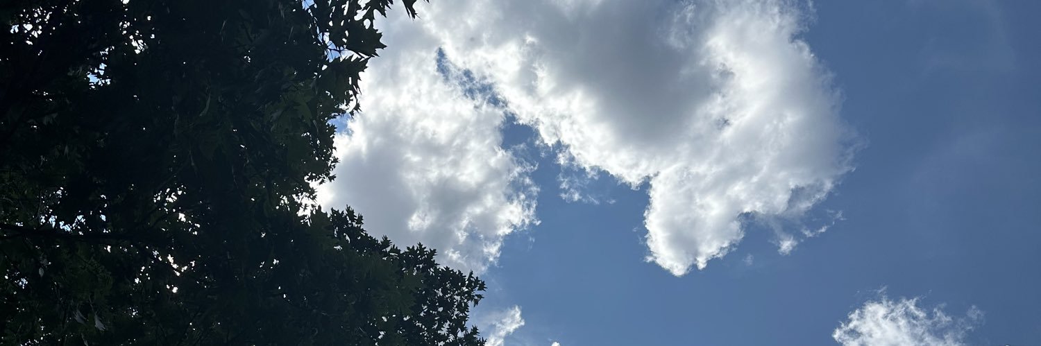 katflorentine's profile banner image