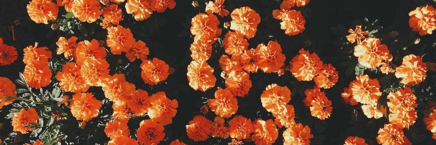 kayhihello's profile banner image