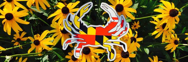 BaltGF Profile Banner