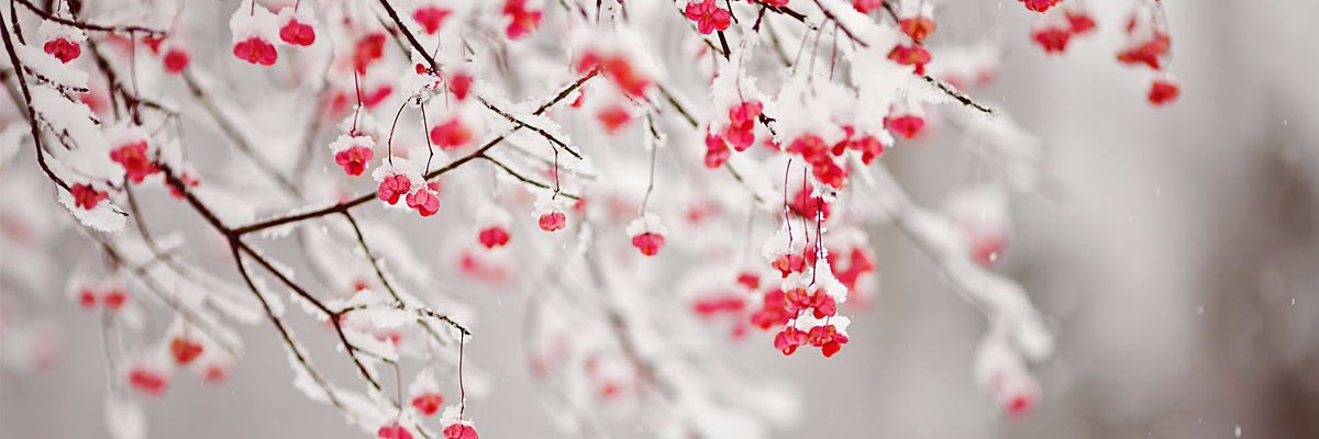 XiaMinnie's profile banner image