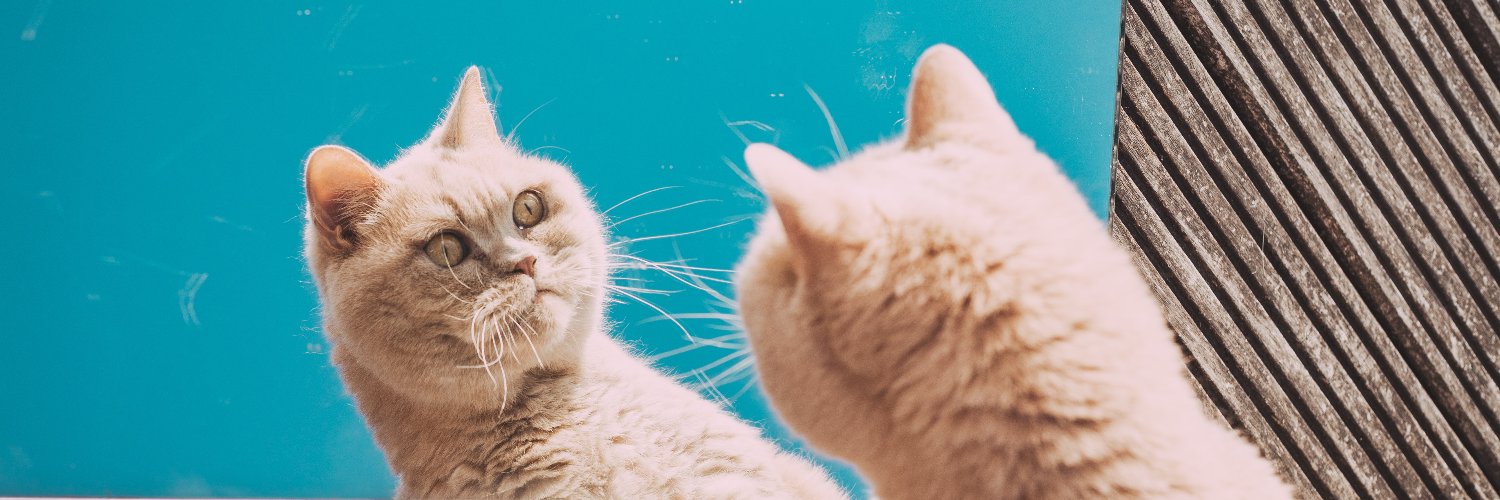 ipay_48's profile banner image