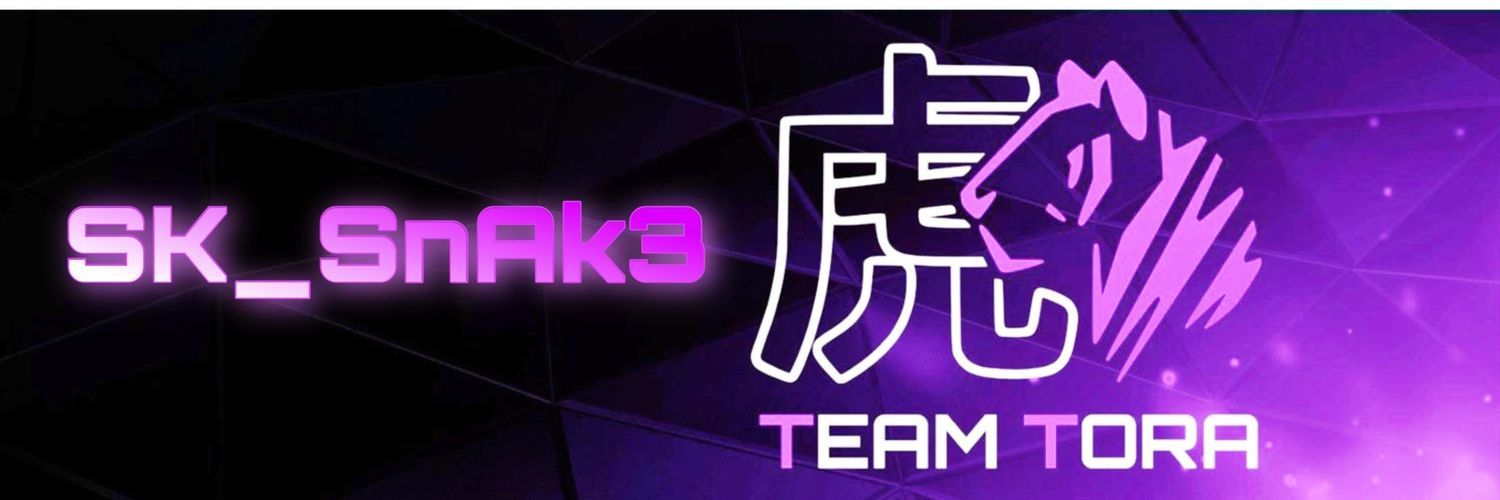 SK_SnAk3's profile banner image