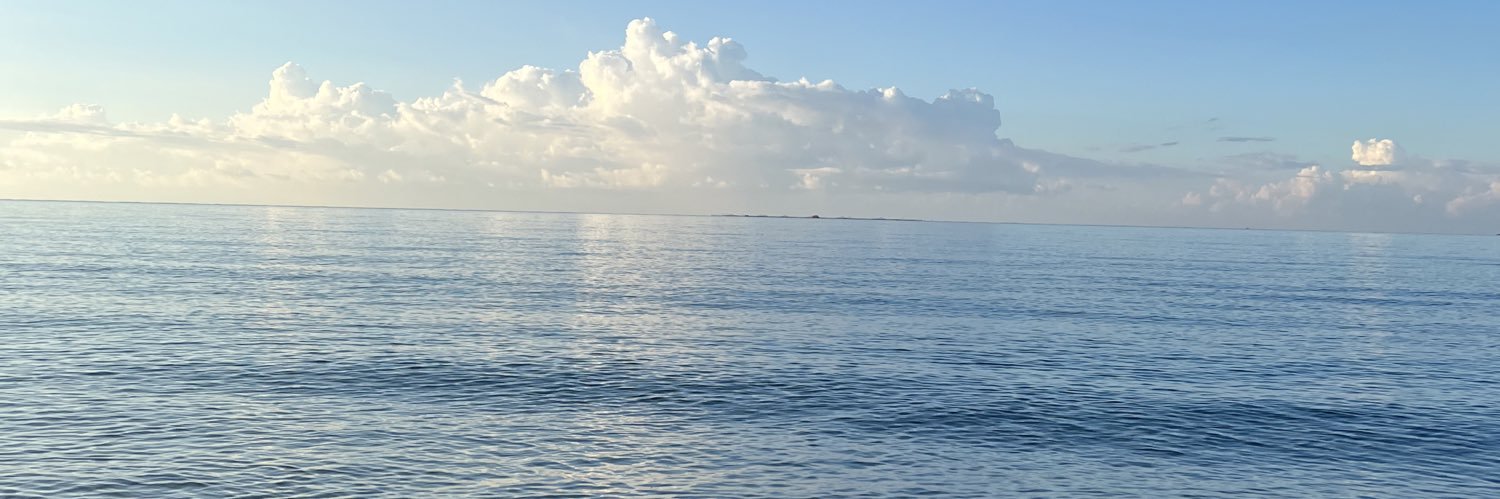esiingnc's profile banner image