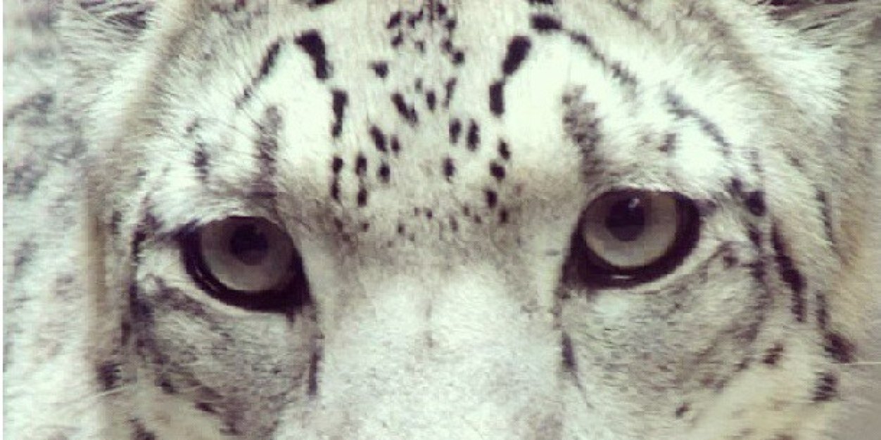 ADominguezls's profile banner image