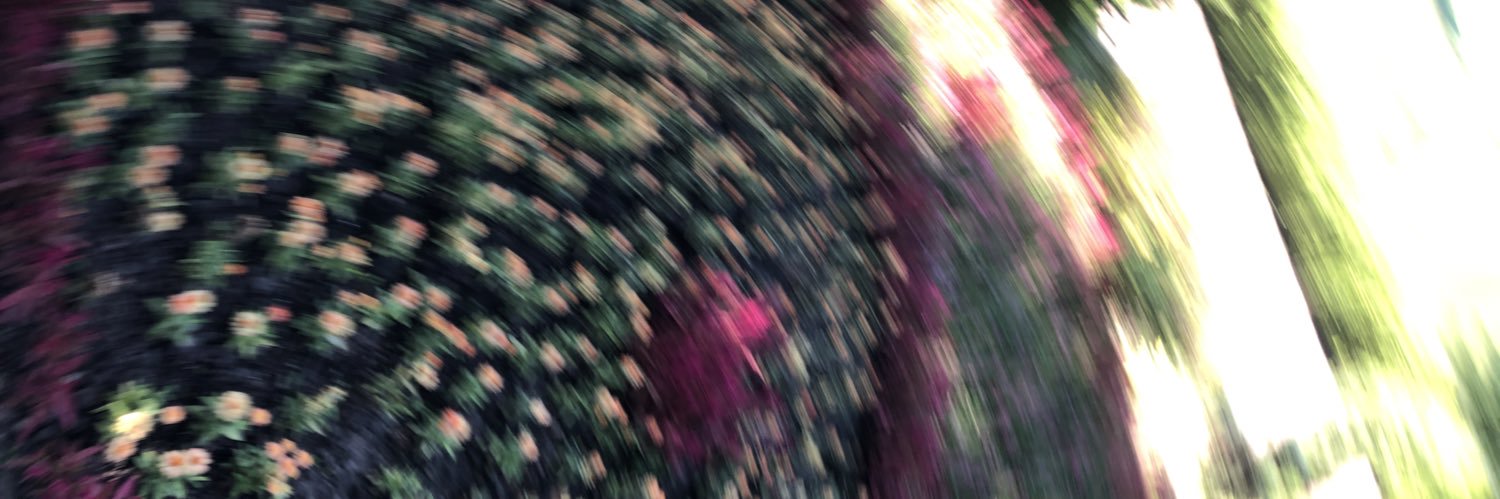 skeletonlame's profile banner image
