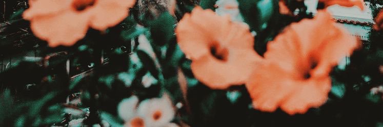 ChelCain01's profile banner image