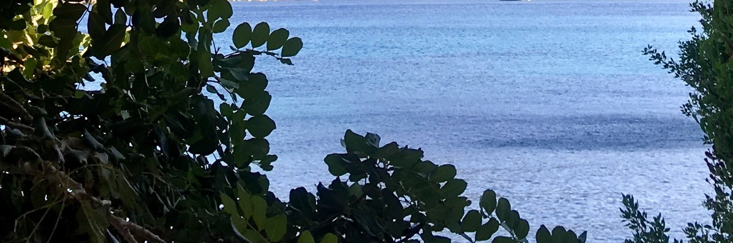 Perejaa's profile banner image
