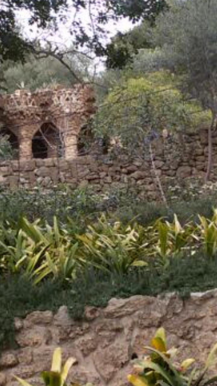 NormaIorio's profile banner image