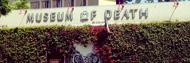 $teph banner