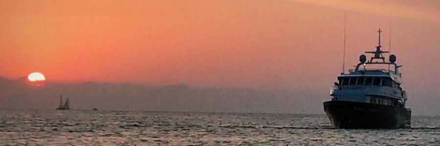 roddick79's profile banner image