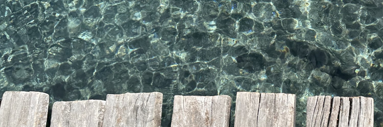 sofialopezroy's profile banner image