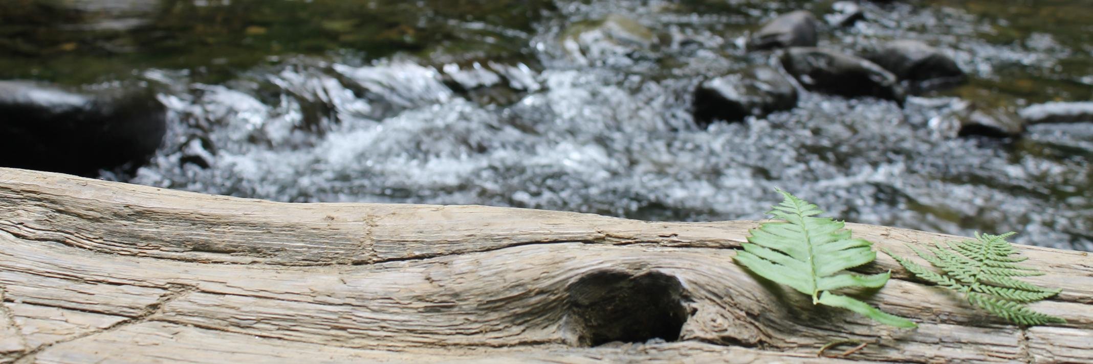 katieeich4's profile banner image