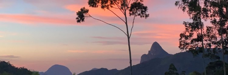 micaeldebossan's profile banner image