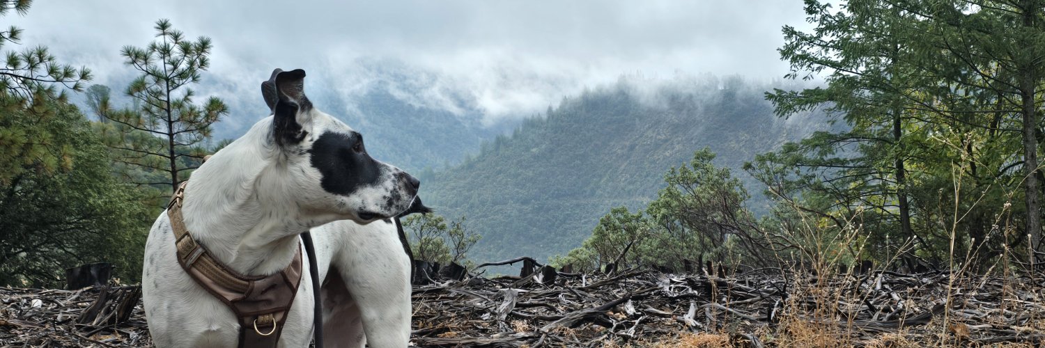 documentaryrep1's profile banner image