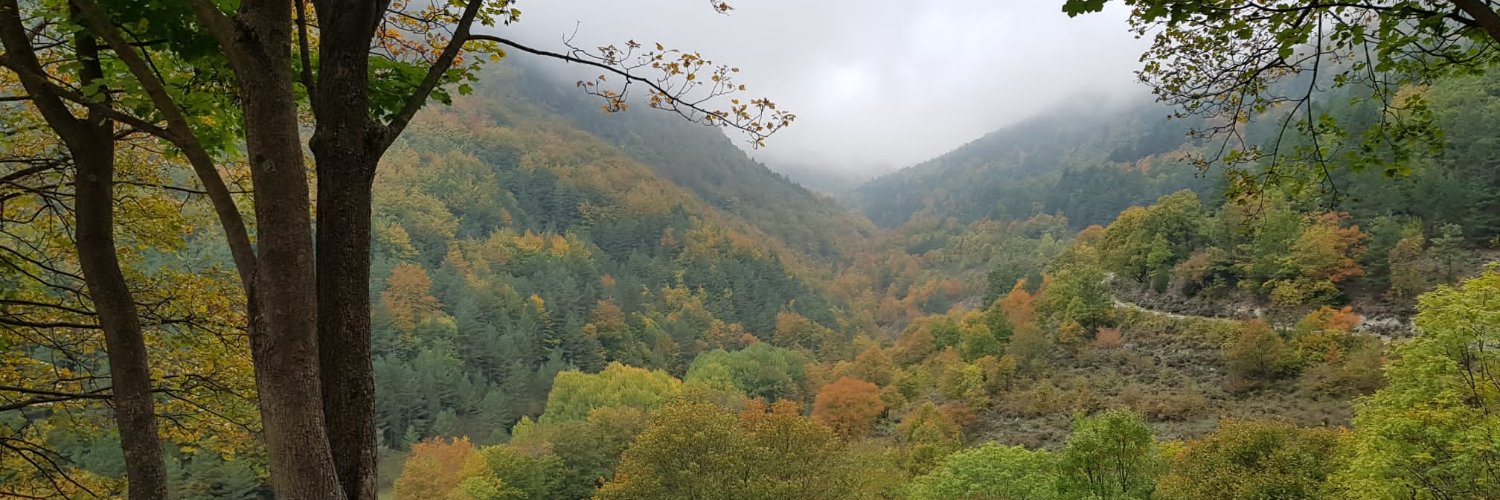 Míriam González banner