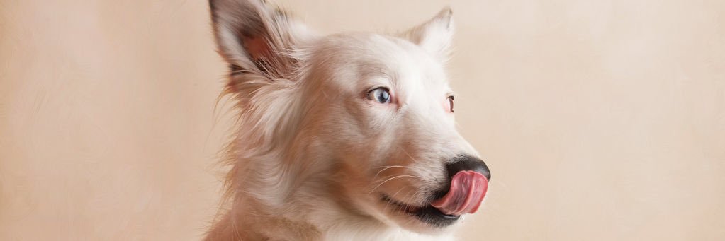siobhrahd's profile banner image