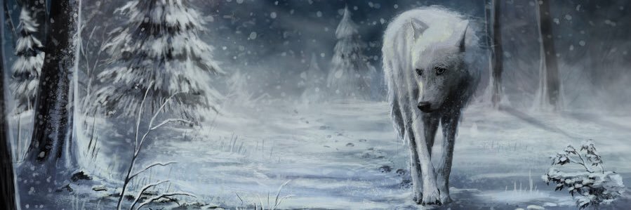 chelunation's profile banner image