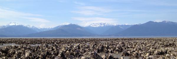 NSAPCS Profile Banner