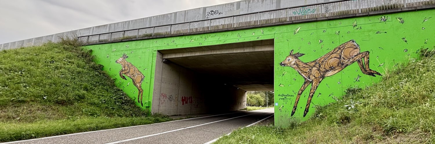 Maurice Dommicent banner