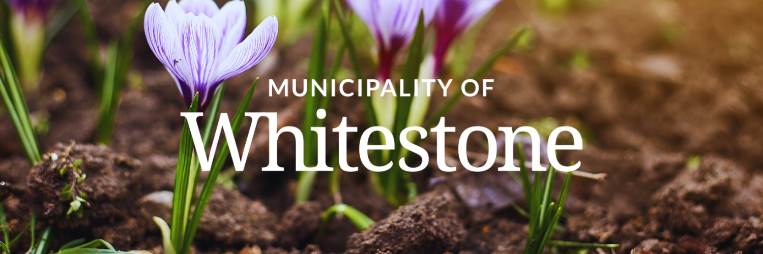 Mun_Whitestone's profile banner image