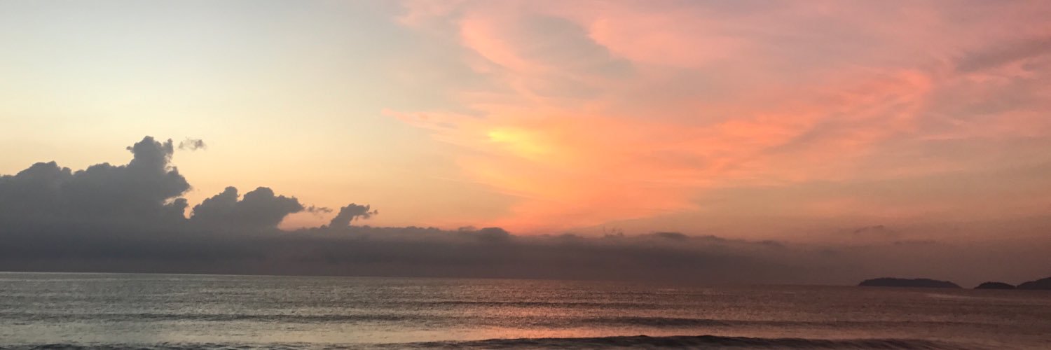 julieherzer's profile banner image
