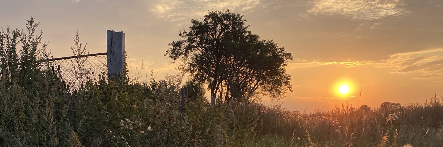 AnneHunecke's profile banner image
