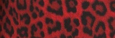 nasasrna's profile banner image