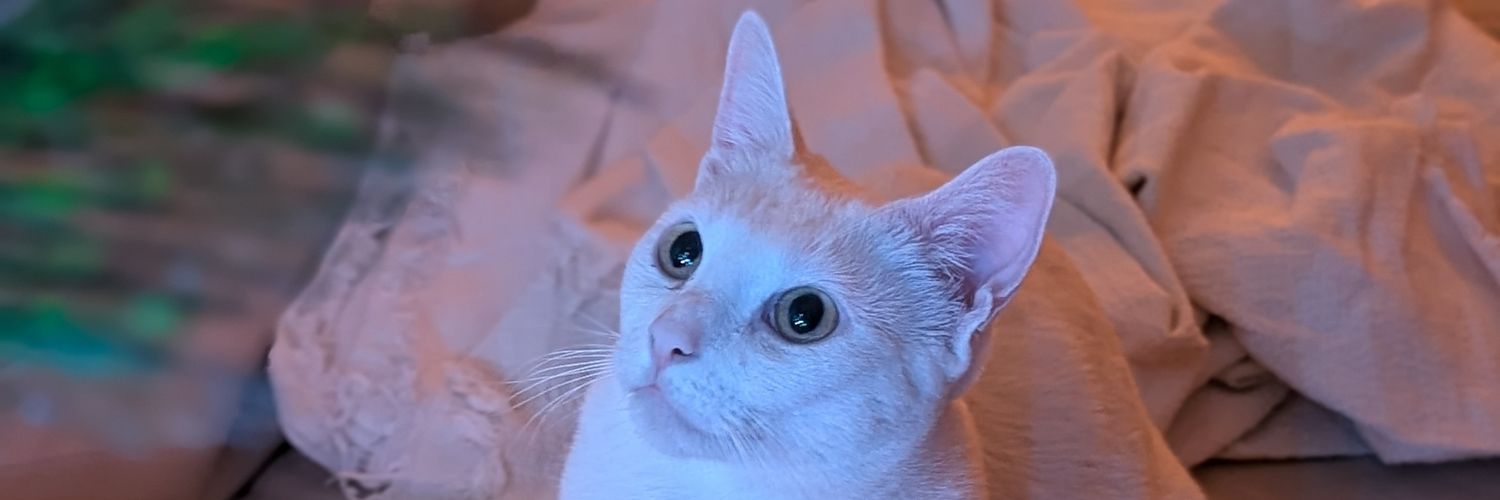maxybl_'s profile banner image