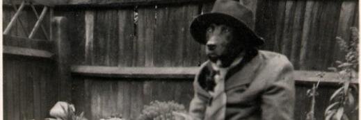 estebicisneros's profile banner image