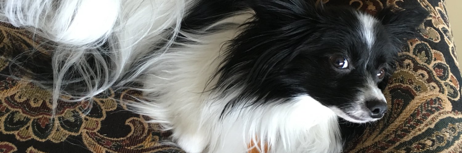 NathanSnowman's profile banner image