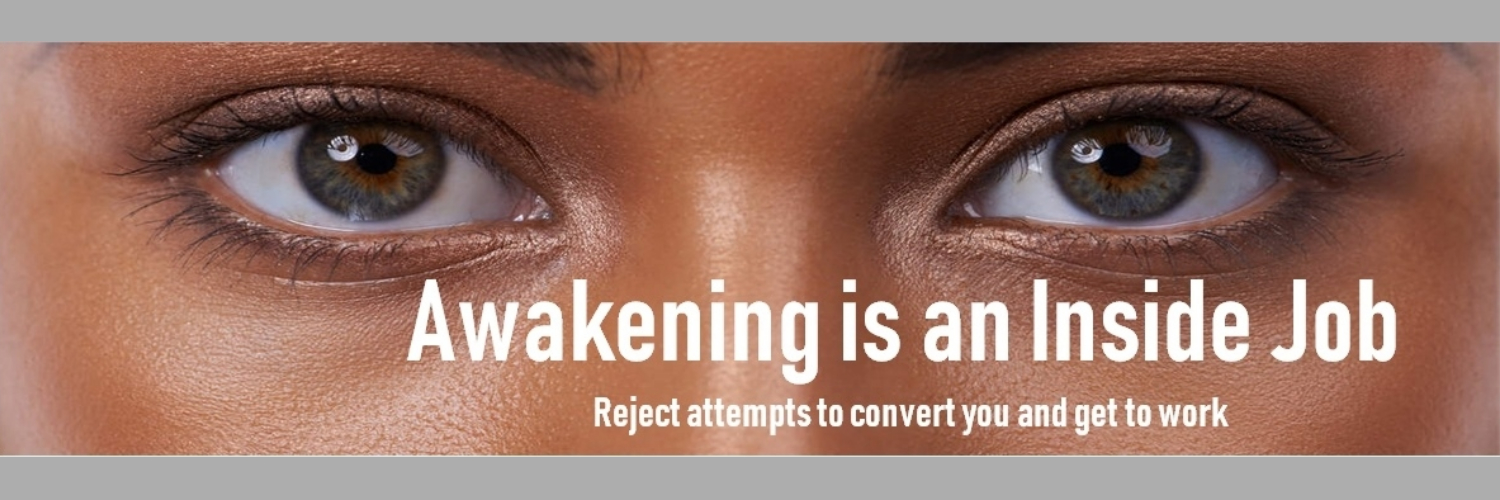 *Doc* Matimus Dorsal Grande banner