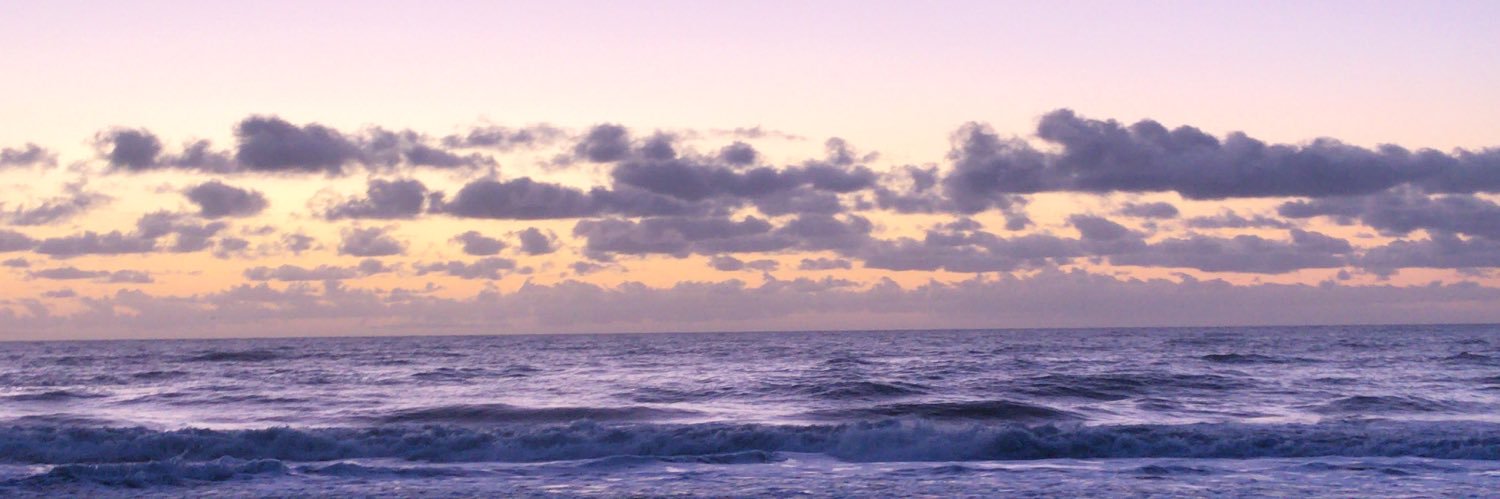 laureeanno's profile banner image