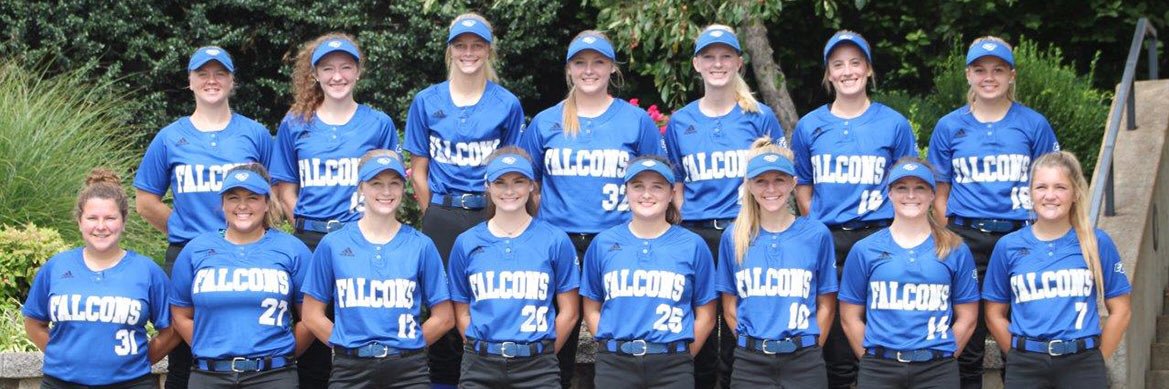 ECC Falcons Softball banner